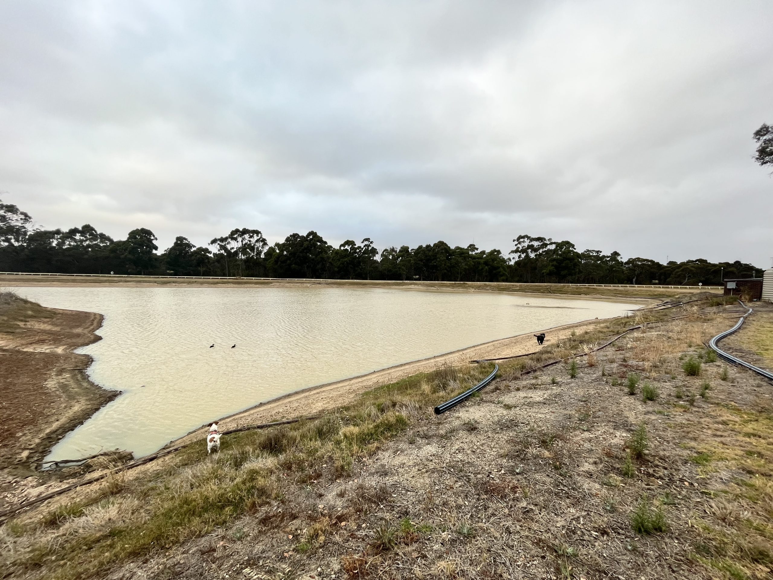 Improved Water Harvesting and Retention